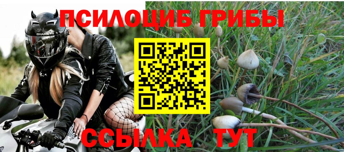 Галлюциногенные грибы мухоморы Лабинск