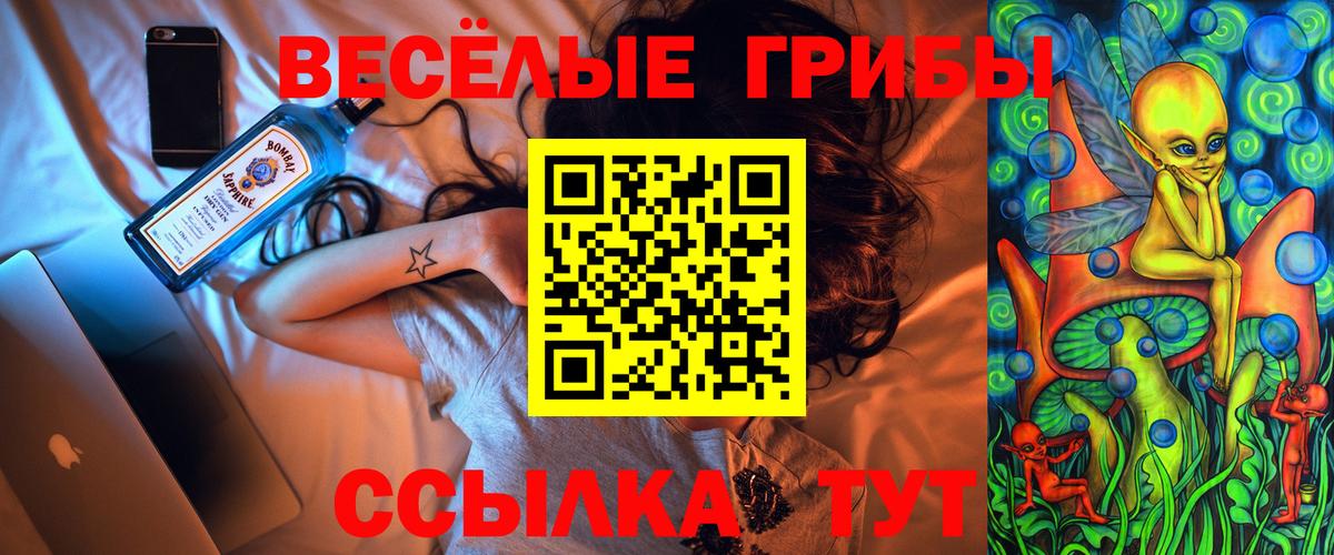 Псилоцибиновые грибы Psilocybine cubensis  Вход с VPN  Лабинск 